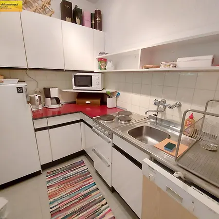 Toni Apartment Bad Mitterndorf